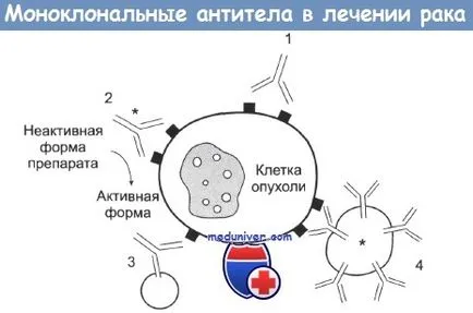 anticorp monoclonal (mab) pentru tratarea cancerului