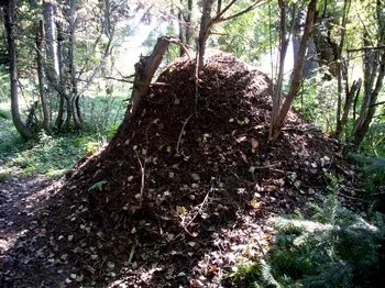 A sikeres kereskedelmi - erős telkek és oberogi