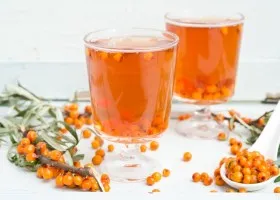 Homoktövis tea előnyeit, receptek és főzési