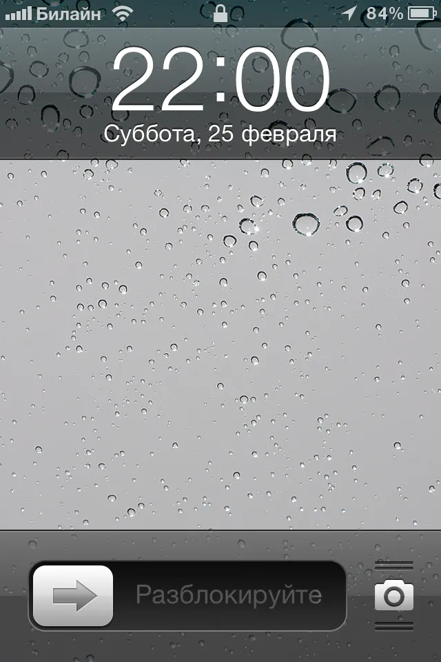 Един ден директорът на МакДоналд ресторант (60 снимки)