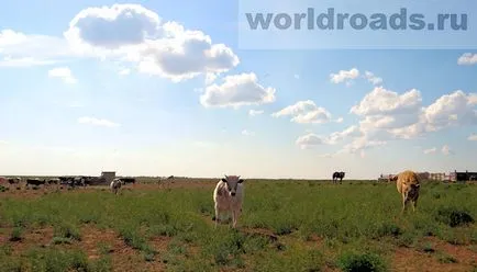 Baskunchak tó és a hegyi Bogdo, a világ útjain