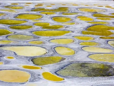 Lake Foltos tó Kanadában foltos ásványvizek