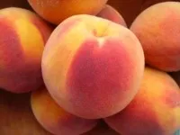 Peach - előnyei és hátrányai - az egészséges