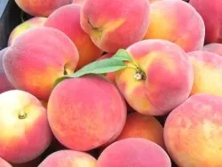 Peach - előnyei és hátrányai - az egészséges