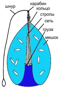 Weaving szőlő