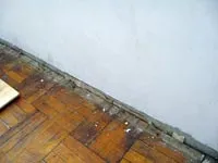 Cum să alinieze podea placaj