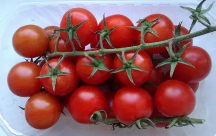Cum se păstrează tomate