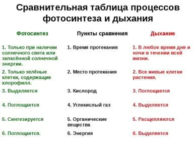 Представяне - дишането на растенията - свободно изтегляне