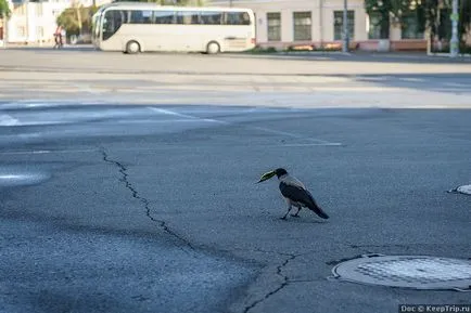 Mersul pe jos în jurul valorii de Kiev