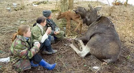 Путин и лосове