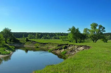 A jobb partján - kert Servier