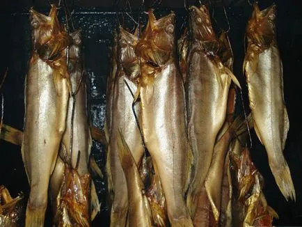 Fish smokehouse helyes vágási hal izhitsa - felszerelések dohányzás