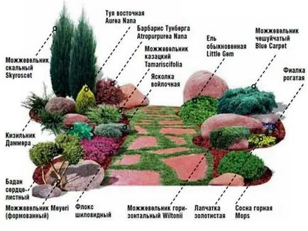 Алпинеум с ръцете си в снимката на страната, дизайнерски идеи и използване в ландшафтен дизайн