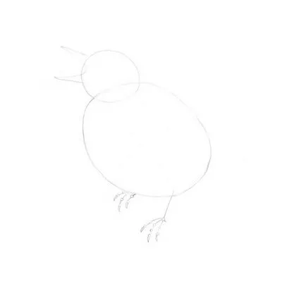 păsări de desen