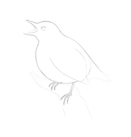 rajz madarak
