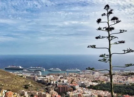 Santa Cruz de Tenerife (Santa Cruz de Tenerife) în descrierea Tenerife, contacte, ore de birou