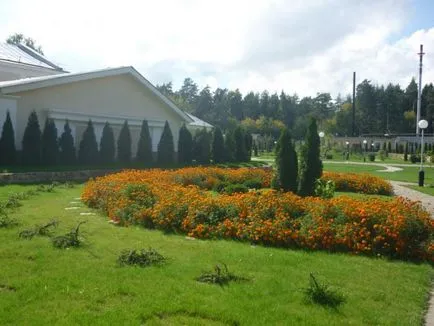 Sanatoriul Gorodetsky (Nizhny Novgorod regiunea) recenzii, fotografii, indicații de orientare