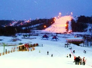 Сноуборд, които се занимават с сноуборд в България