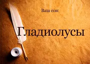 Тълкуване на сънища гладиола бяло-червени цветя в съня си, за да видите какво се превръщат мечтите