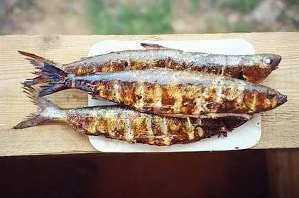 Cum este stocat pește afumat la cald