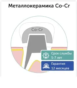 стоматология икономика