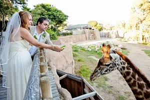 Nuntă în grădina zoologică - o nunta la Moscova