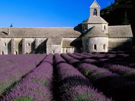 Nunta în stilul de Provence