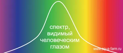 Светодиоди за отглеждане на растения и посадъчен материал