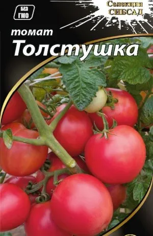 Tomate - descrierea grăsuț a soiului, caracteristicile fructelor-roșii în creștere și consiliere