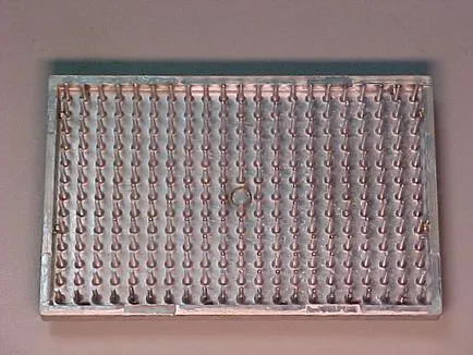 Műszaki leírás A laboratóriumi többcsatornás erősítővel - 32 csatornás erősítő a kezét