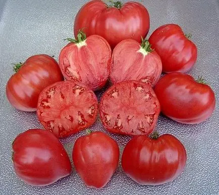 Tomate Rio Grande recenzii Agricultorii