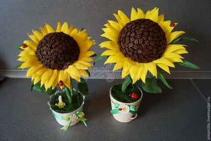 Topiary на кафе със собствените си ръце майсторски клас на слънчогледи със снимки и видео