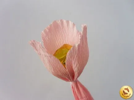 Tulip gofrobumagi csokoládék és a mester osztály saját kezűleg