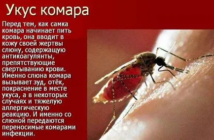 Mosquito ухапване премахване на подуване и сърбеж на снимка на детето и подуване, зачервяване, отколкото да помаже първият