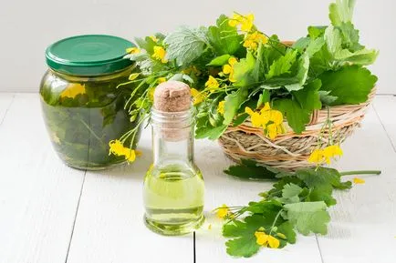 Învățătura Ayurveda și cauzele bolilor umane