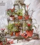 Услуги за грижи за стайни растения - Онлайн магазин за цветя Москва G