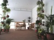 Услуги за грижи за стайни растения - Онлайн магазин за цветя Москва G