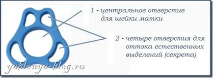 Инсталиране на песар с CIN