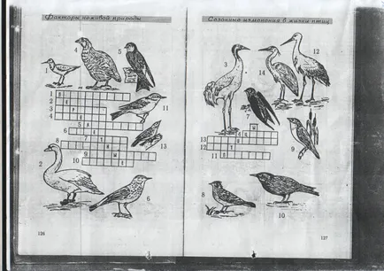 Lecția de cultură ecologică „verde de aur - pădurile noastre“ - lecții de geografie