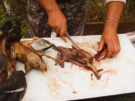 Duck într-un cazan în vânătoare, bărbați site-ul de gătit - cele mai bune rețete cu fotografii