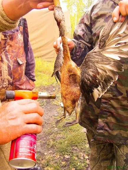 Duck într-un cazan în vânătoare, bărbați site-ul de gătit - cele mai bune rețete cu fotografii