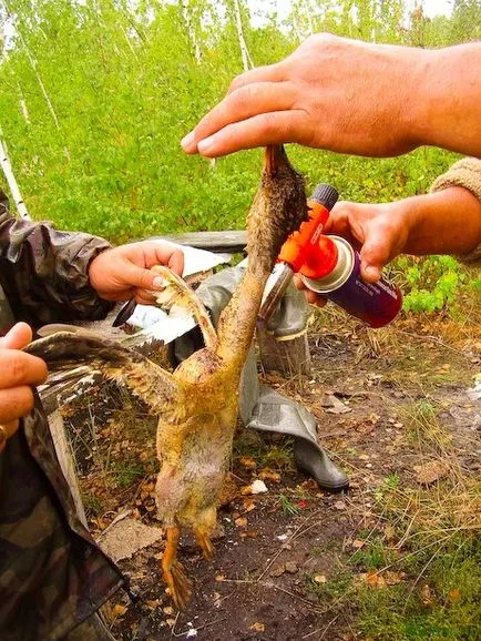 Duck într-un cazan în vânătoare, bărbați site-ul de gătit - cele mai bune rețete cu fotografii