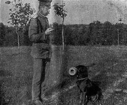 Vasily Lebedev - vezetőképzés rendőri és katonai kutya - 3. oldal