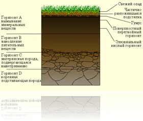 talajtípusok