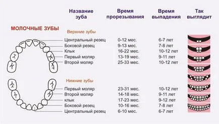 Има всички зъби имам деца, които търсят отговора тук!