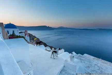 Minden kutya a mennybe Santorini szigetén, fotó hírek