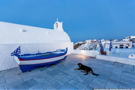 Всички кучета отиват в рая остров Санторини, фото новини