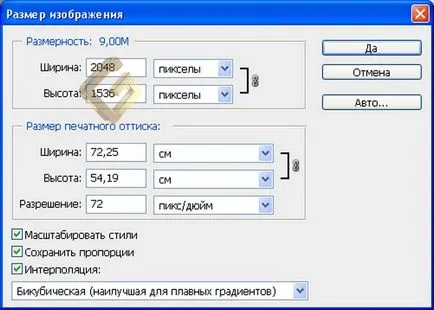 Работно преглед, спецификации, снимки и аутопсия Sony Ericsson Zylo (w20i)