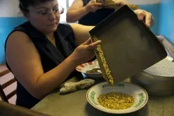 Yakutia akik mind gyárt és Magyarország 20 tonna aranyat évente (fotó)