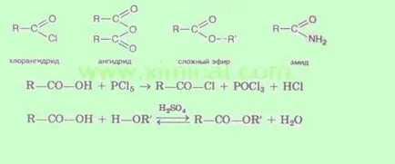 Kémiai katalógusa egybázisú karbonsavval